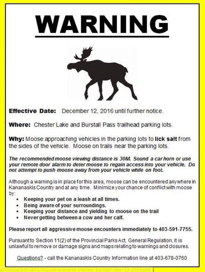 moosewarning